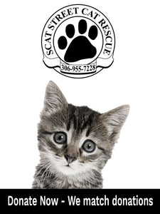Pet Food Drive 1lb Donation - Street Cat Rescue