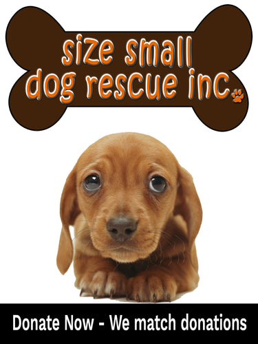 Pet Food Drive 1lb Donation - Size Small Dog Rescue