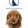 Pet Food Drive 1lb Donation - New Hope Dog Rescue