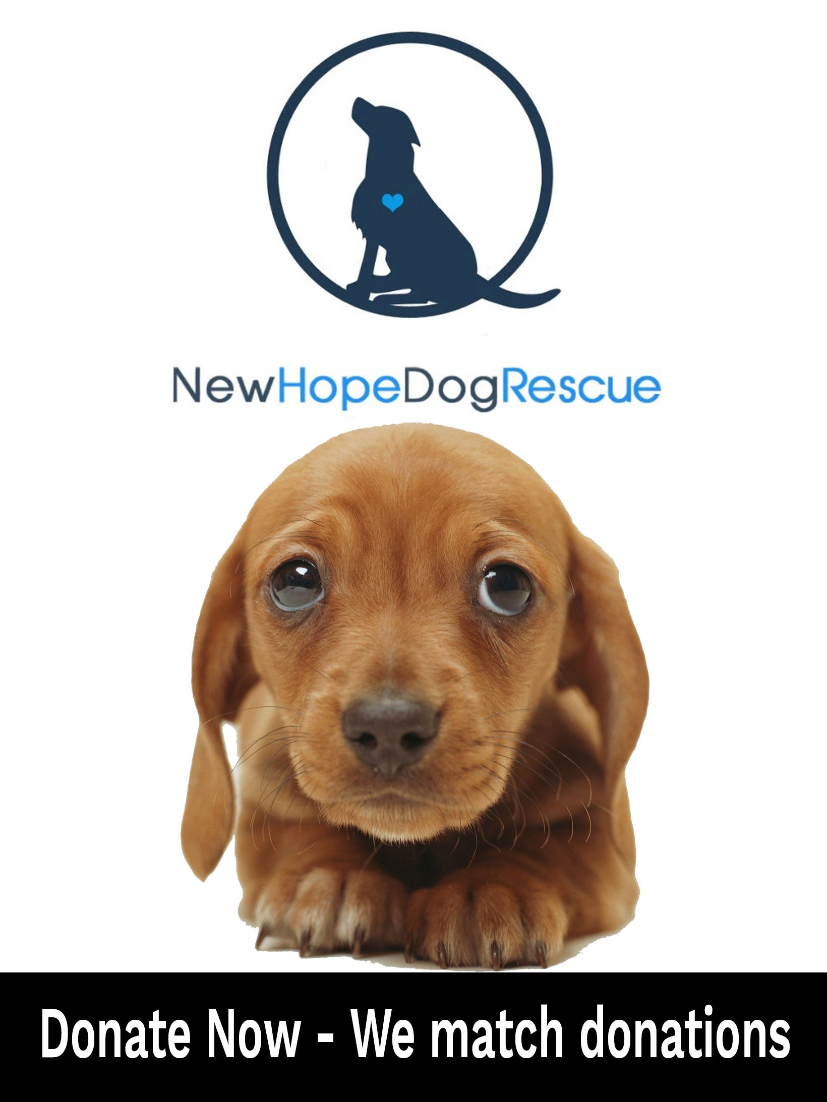 Humane Society All New Hope Animal Rescue Pet Food Drive 1lb