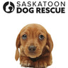 Pet Food Drive 1lb Donation - Saskatoon Dog Rescue