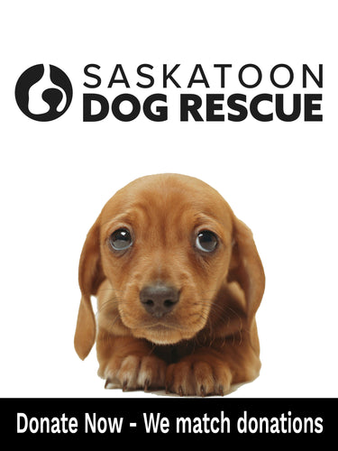 Pet Food Drive 1lb Donation - Saskatoon Dog Rescue