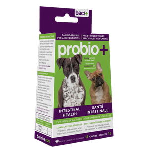 Baci+ Probio+ Intestinal Health Prebiotics & Probiotics 14 Pouch 1g For Dog