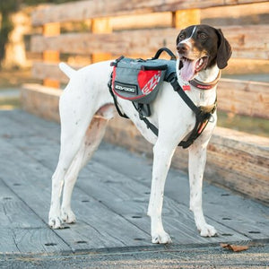 EzyDog Summit BackPack Large