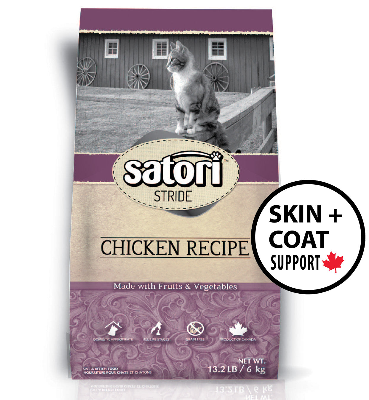 Satori Chicken Skin Coat Support Dry Cat Food Critters Pet