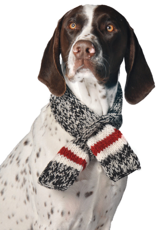 Chilly Dog Boyfriend Scarf Sweater