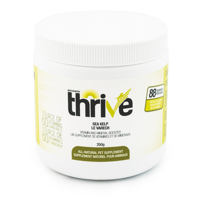 SPECIAL ORDER Big Country Raw Thrive Sea Kelp - 350g