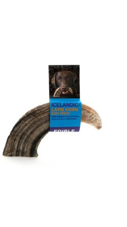 Icelandic Lamb Horn Large Dog Chew