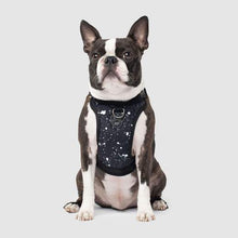 Load image into Gallery viewer, Canada Pooch Everything Harness Water-Resistant Splatter