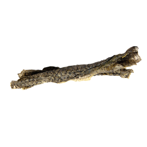 Free Range Tilapia Fish Skin Roll Dog Chew