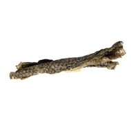 Free Range Tilapia Fish Skin Roll Dog Chew