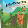 Emerald Pet Feline Dental Stixx Catnip & Pumpkin 102g Cat Treats