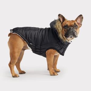 GF Pet Urban Parka Black Dog Jacket