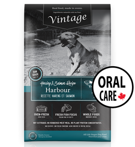 Oral care dog sales food