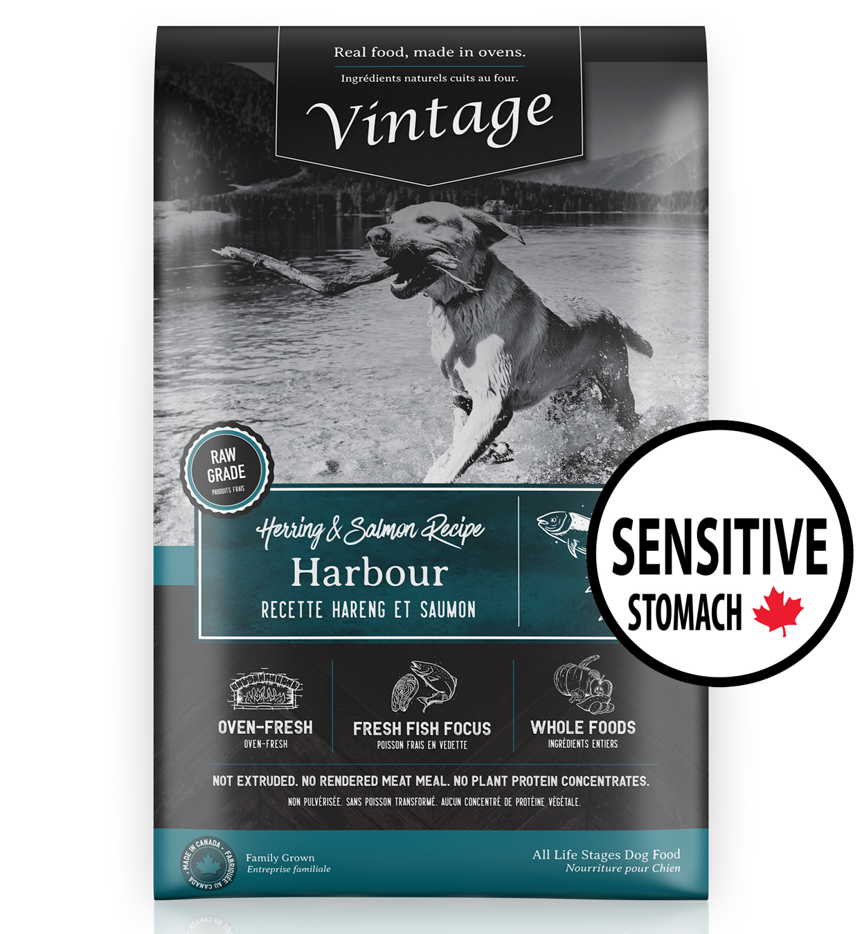 Dog food for clearance very sensitive stomachs