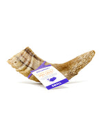 Icelandic Lamb Horn Small Dog Chew