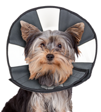 Load image into Gallery viewer, ZenPet ZenCone Adjustable Soft Recovery Pet Collar