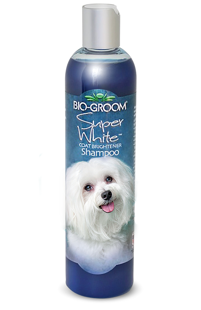 Bio groom super white hot sale