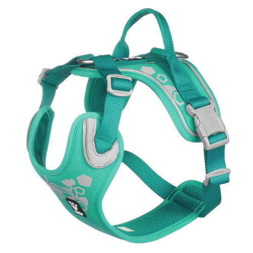 Hurtta Weekend Warrior Peacock Dog Harness