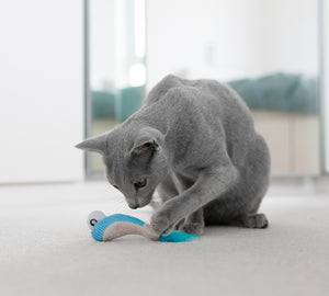 Petstages Dental Shrimpies Catnip Dental Cat Toy
