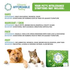 5Strands Pet Intolerance Test