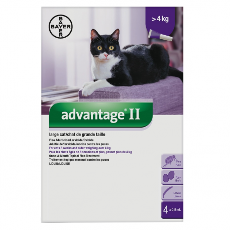 Bayer Flea Advantage II Large Cat Over 4kg