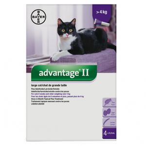 Bayer Flea Advantage II Large Cat Over 4kg