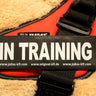 Julius K9 Harness Label Patch "In Training" Set Of 2