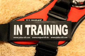 Julius K9 Harness Label Patch "In Training" Set Of 2