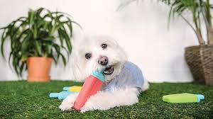 GF Pet Ice Pop Cooling Dog Toy