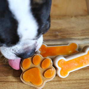 Big Country Raw Frozen Treat Mold - Fish, Paw & Bone Shape - Large ORANGE