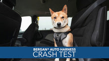 Load image into Gallery viewer, Bergan Auto Harness