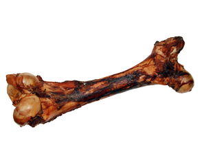 Free Range Dino Bone Dog Chew