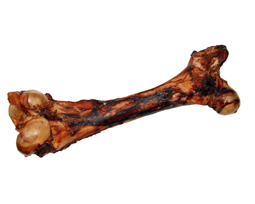 Dino bone dog chew online