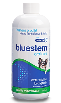 Bluestem Oral Care Water Additive 500ml Vanilla Mint