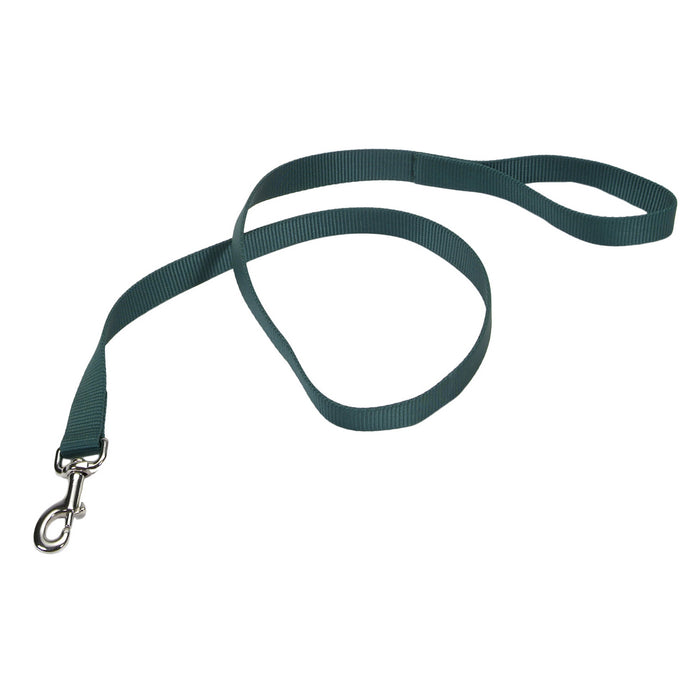 Coastal Dog Leash 6ft Hunter Green