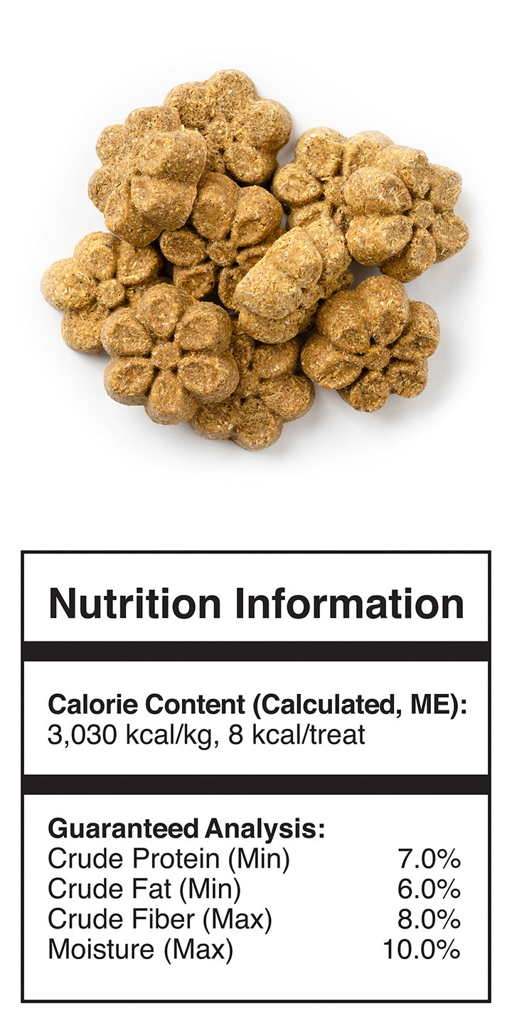 Fruitables Crunchy Pumpkin Blueberry 198g Dog Treats Critters