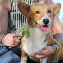 Load image into Gallery viewer, Safari Self-Cleaning Dog Slicker Brush