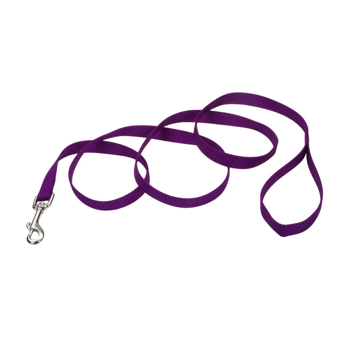 Coastal Dog Leash 6ft Purple