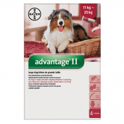 Bayer Lice & Flea Advantage II Large Dog Between 11kg - 25kg