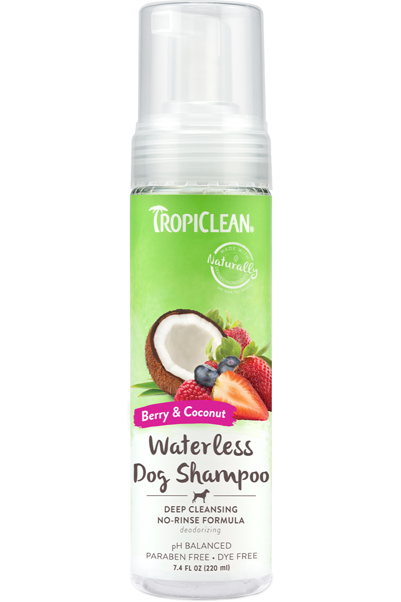 Tropiclean berry and shop coconut