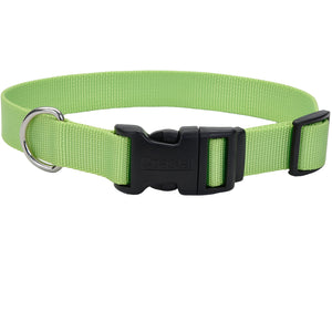 Coastal Adjustable Dog Collar Tuff Green