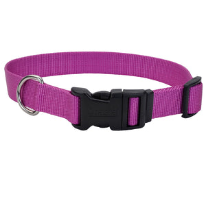 Coastal Adjustable Dog Collar Tuff Orchid