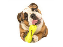 Load image into Gallery viewer, WestPaw Zogoflex Qwizl Small Dog Toy