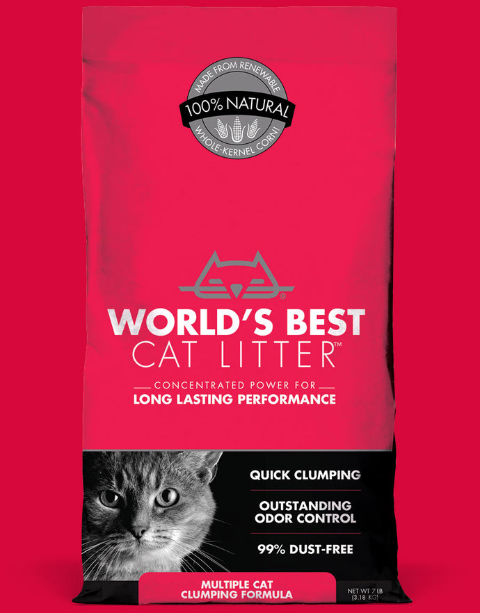 Best corn sale cat litter