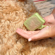 Load image into Gallery viewer, Safari Self-Cleaning Dog Slicker Brush